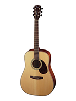 Cort Earth100 Natural Satin