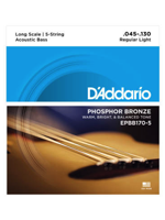 Daddario EPBB170-5 Acoustic Bass Strimg