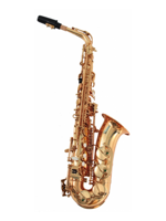 Soundsation SALX-20 Eb Alto Sax
