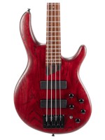 Cort B4 Element Open Pore Burgundy Red