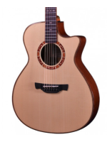 Crafter STG T-16ce Pro