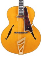 D'angelico Excel EXL-1 Amber