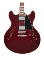 D'angelico Premier DC Burnt Red