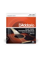 Daddario EFT13 Flat Tops Resophonic