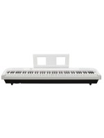 Echord DP1 Bianco