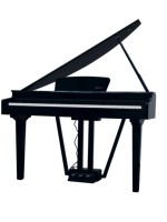 Echord GP-10 Black