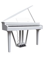 Echord GP-10 White