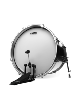 Evans BD22G1CW - G1 Coated 22