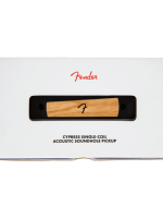 Fender Cypress Single-Coil Acoustic Soundhole