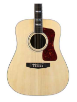 Guild D-55 Nat Nitro