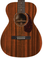 Guild M-120 NAT