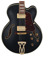 Ibanez AF75G BKF Black Flat