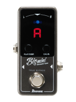 Ibanez BigMini
