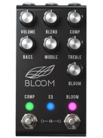 Jackson Audio Analog/Digital Bloom v2 Midi Black