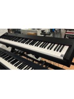 Korg D1