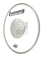 Ludwig R6120 - Pelle Rocker Clear Silver Dot Per Grancassa Da 20