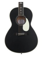 Prs SE P20E Doghair (gloss) 2025