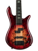 Spector Euro 5 CST - Nat Red Burst Gloss