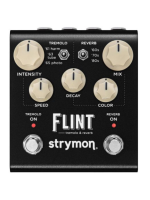 Strymon FLINT 2FSR