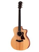 Taylor 14ce