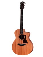 Taylor 24ce