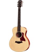 Taylor GS MINI